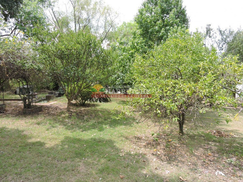 Imagen 5 de 13 de Chacra En Progreso, 1 Has, Casa, Piscina, Barbacoa, Frutales Excelente Ubicación!