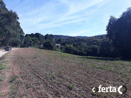 Imagem 5 de 15 de Chacara - Bugre - Ref: 773 - V-773