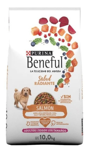 Beneful Salmón Adulto 10kg Alimento Para Perro