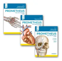Comprar Prometheus Colección. Texto Atlas De Anatomía - Panamericana