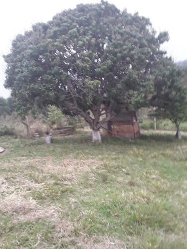 Imagem 6 de 23 de Terreno 1.600m² - Chácaras Monte Verde - São Roque Sp - Tr141053v