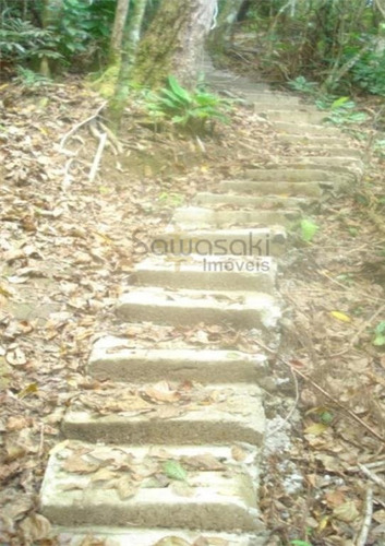 Imagem 6 de 19 de Terreno Para Venda Em Serra Da Igreja Morretes-pr - 5641