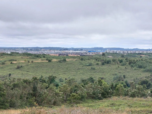 Venta Agrícola Puerto Montt