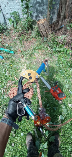 Imagen 5 de 10 de Poda De Arboles, Palmeras, Extracciones De Raiz