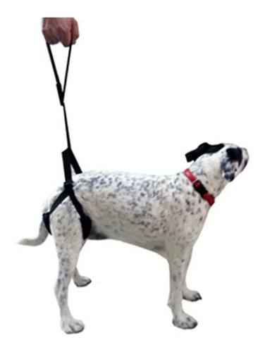 Arnes Para Perros Con Displasia Acolchado 