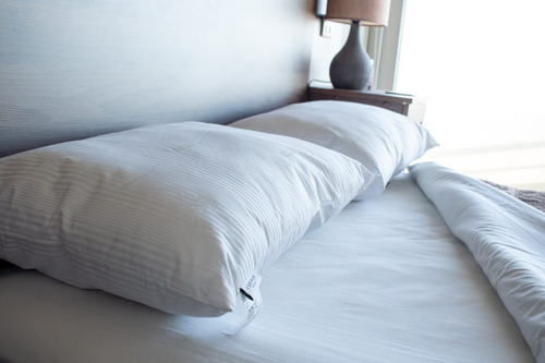 Imagen 6 de 10 de Pack Almohada Firm Support 50 X 70 Cms - Cannon