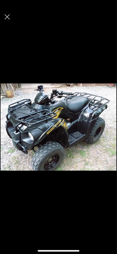 Imagen 6 de 12 de Kawasaki Brute Force 300