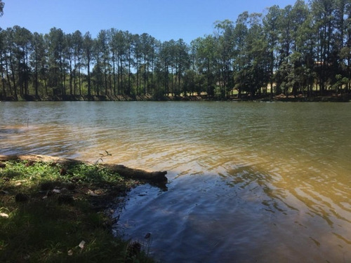 Imagem 3 de 5 de Terreno À Venda, 2500 M² Por R$ 480.000 - Condomínio Terras De São Lucas - Sorocaba/sp, Terreno Com Frente Para O Lago, Excelente Localização - Te0135 - 67640113