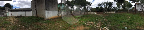Imagem 6 de 7 de Terreno Residencial - 2 Vagas - À Venda Na Vila Leopoldina - Reo31307