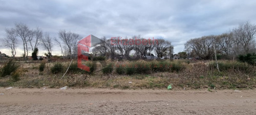 Imagen 6 de 6 de Lote En Mar De Ajó