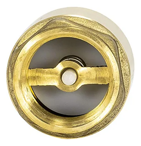 Vlvula De Retencin En Lnea Ez-flo, 1puLG Ips, Resorte De Ace