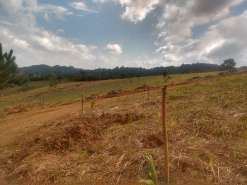 Imagem 11 de 14 de 3- Terrenos Em Santa Isabel Apatir De 50 Mil Reias !