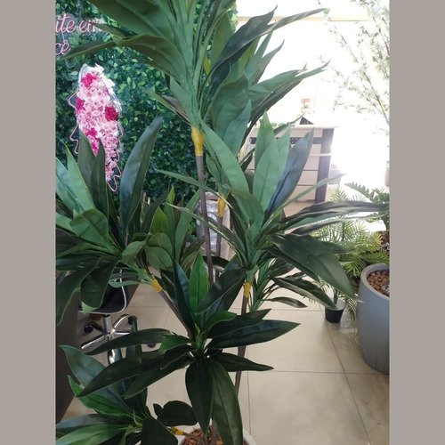Arvore Dracena Cordyline Grande Verde Artificial Mambo