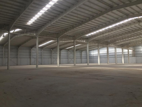 Imagen 16 de 21 de Fracción Industrial 36 Ha. Galpón 14.000 M² Cub. - Carlos Spegazzini