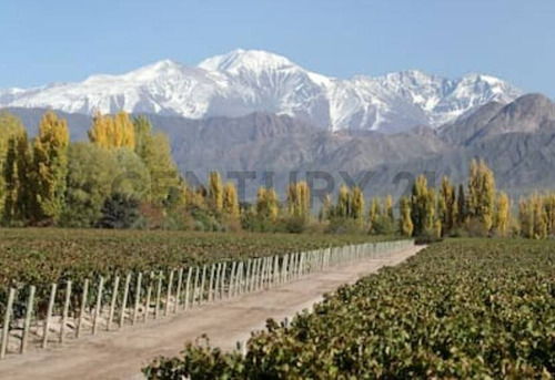 Finca En Venta