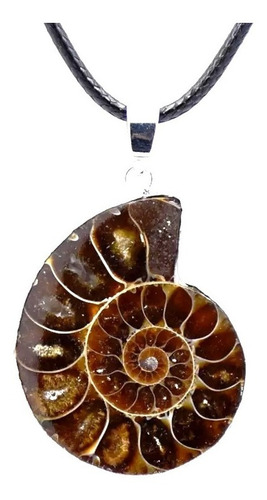 Collar Fósil Ammonite Piedra Natural  Autentico Hombre Mujer
