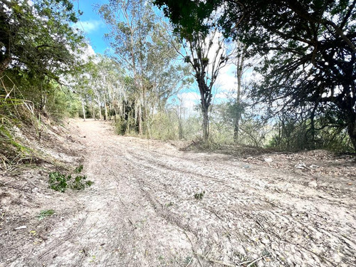 Se Vende Terreno 3600m2. Alto Hatillo.
