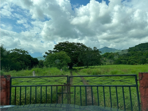 Impresionante Rancho En Manuel Avila Camacho - Tonalá