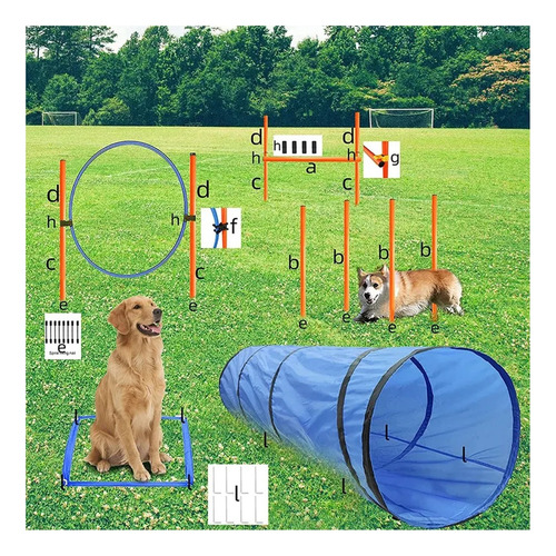 Equipos De Agilidad Perros Cursos De Obstáculos Kit De...