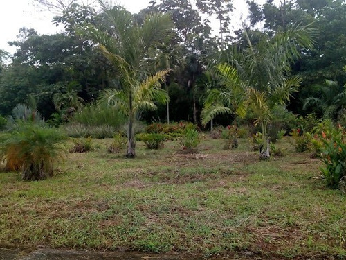 Imagen 7 de 20 de Lotes En Venta Restrepo 476-1391