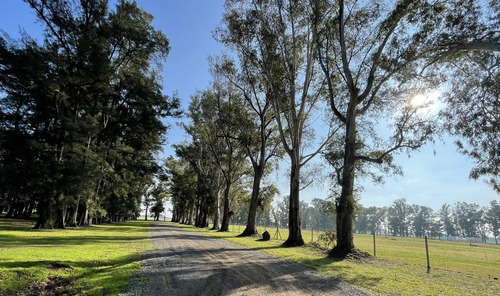 Imagen 8 de 30 de Venta Terreno Barrio Isla 1333mtrs Club De Campo Los Tres Pinos General Rodriguez