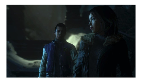 Imagen 3 de 4 de Until Dawn Standard Edition SCEA PS4 Físico