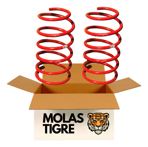 Molas Tigre Rebaixadas Bmw Serie 3 323 I (94/...)