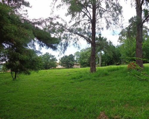 Imagem 2 de 6 de Terreno - Te00348 - 31964839