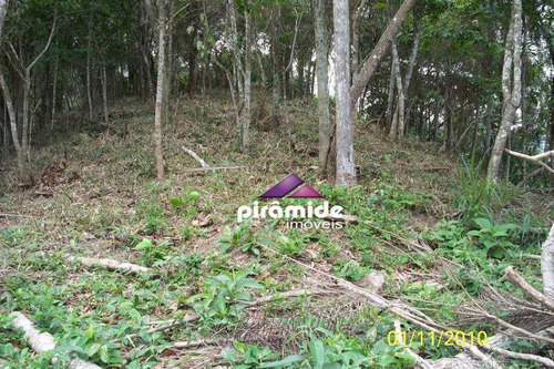 Imagem 3 de 7 de Terreno À Venda, 894 M² Por R$ 905.000,00 - Cigarras - São Sebastião/sp - Te1401
