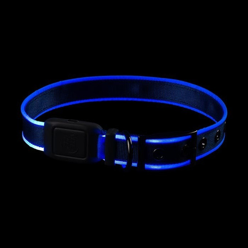 Collar Para Perro Mediano Luz Led Azul Resistente Al Agua
