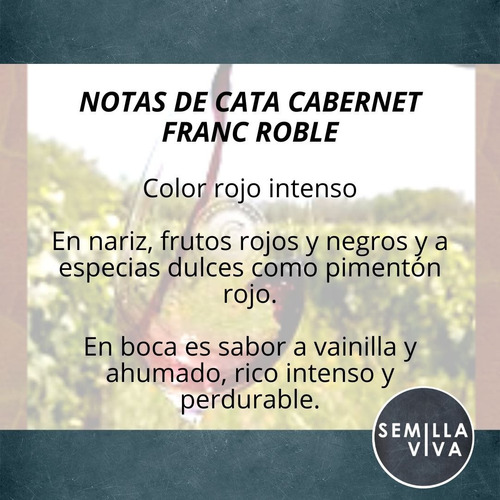 Imagen 2 de 10 de Vino Orgánico Cabernet Franc Roble X 3 - Familia Cecchin