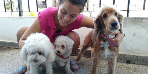 Imagen 5 de 10 de Guardería Canina Zona Oeste (ramos Mejía)
