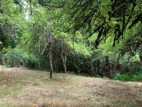 Parcela De 7.500 Mt2 En Sector Puninque