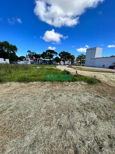 Imagen 25 de 25 de Venta Local Comercial Nuevo Paris, Zona Para Logística!! - Montevideo Nuevo Paris