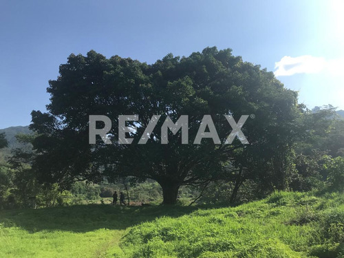 Terreno En Venta.