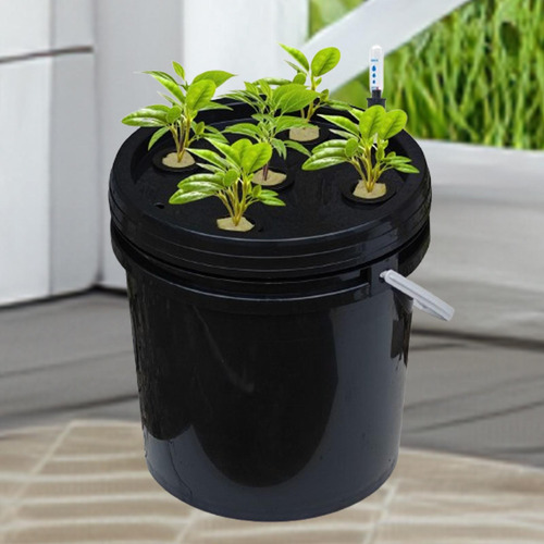 Dwc Hydroponics De Cultura Em Águas Profundas Kit De De