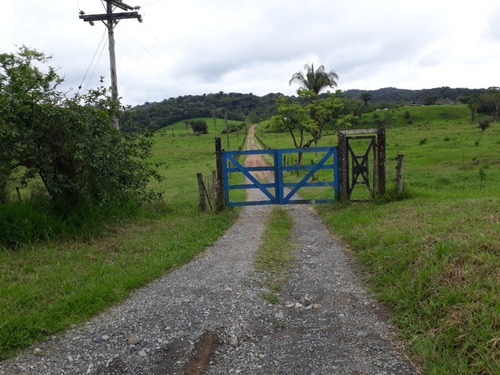 Fazenda - Fa00002 - 34684872