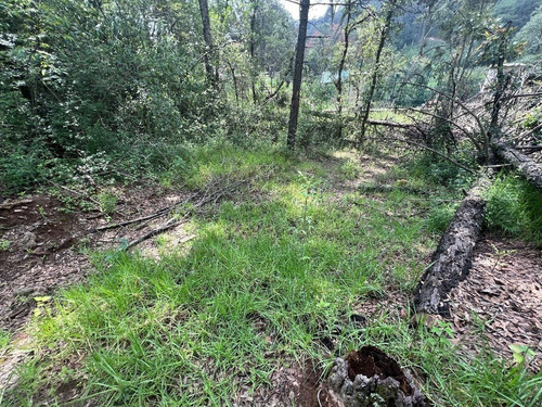 Vendo Terreno Plano Espíritu Santo, Colinda Con Río Cod. Vte764