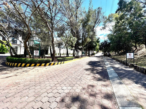 Imagen 21 de 26 de El Mejor Terreno De Colinas Del Bosque