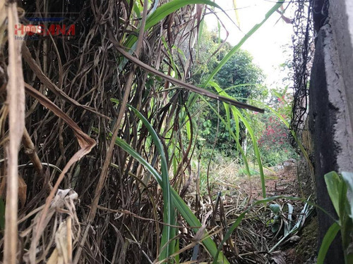 Imagem 6 de 7 de Terreno Residencial À Venda, Alpes De Caieiras, Caieiras. - Te0255