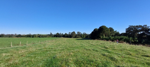 Terreno Orilla Rio Maullin