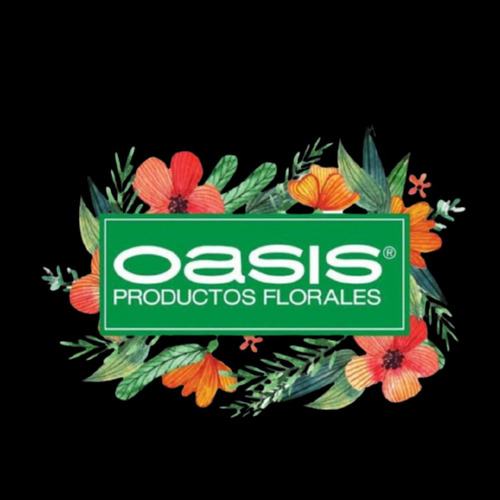 Oasis Espuma Floral Con Base De Plástico 4 Pz