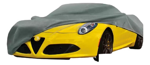 Moda Cubierta Para Auto Tamaño Chico