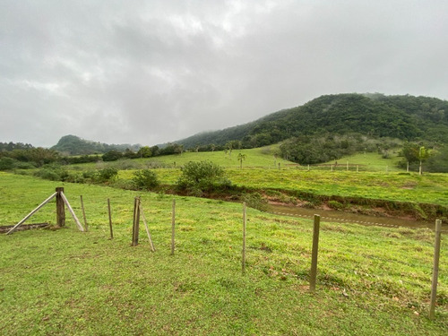 Chácara 19.000 M² - Santa Cruz - Gravataí - Rs - 2447 - 68463646