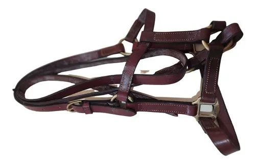 Bozal Haras Con Herrajes De Bronce -agrodf