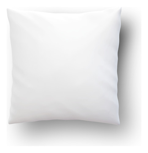 Almohadon 40x40 Capibara Meme Adorable Modelo 5 Liso