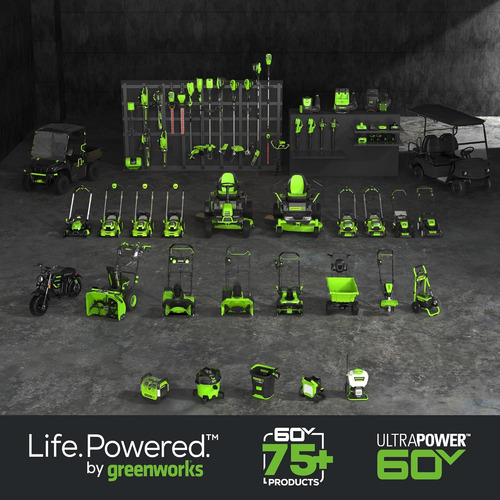 Cargador Estándar Pro 60v 3a