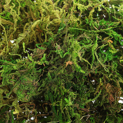Musgo Artificial Falso Musgo Decorativo Musgo Falso Falso
