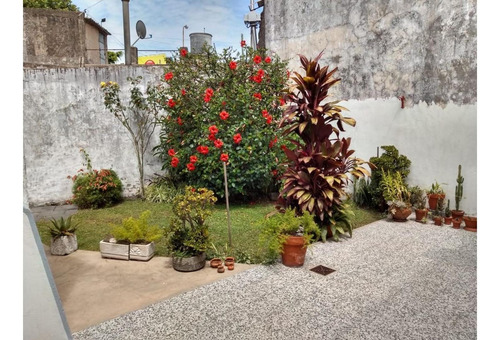 Imagen 4 de 12 de Casa En Lote Propio De 8,66x19