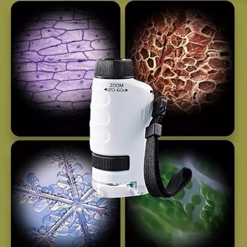 Mini Microscopio Infantil Juguete Educativo De Bolsillo